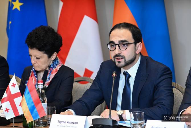 Armenia interested in making efforts to give new quality to partnership with Georgia – deputy 
PM   