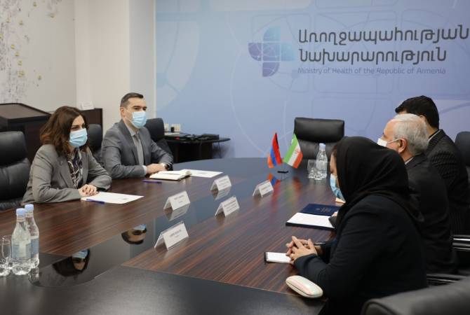 Armenia, Iran discuss cooperation in healthcare sector