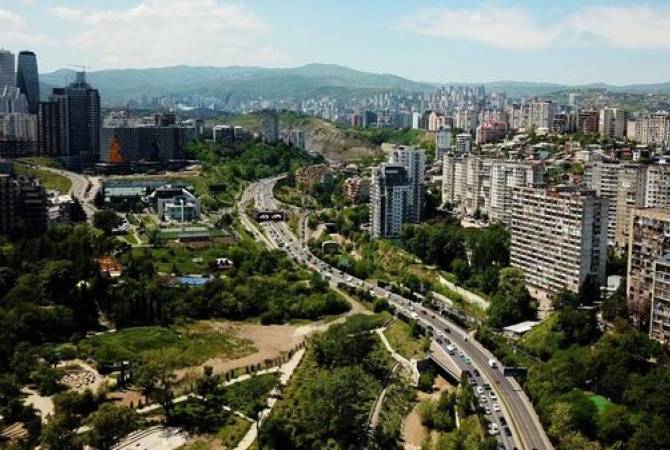В Тбилиси будут строже наказывать за незаконную вырубку и повреждение деревьев
