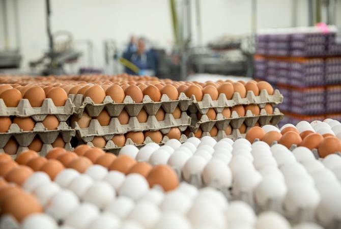 ՀՀ մրցակցության պաշտպանության հանձնաժողովը վարույթ է հարուցել հավի ձվի 
շուկայում գործող 5 ընկերության նկատմամբ
