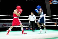 Armenian boxers - successful in European Boxing Championships 