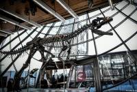 Mystery dinosaur skeleton fetches over $2 million at Paris auction