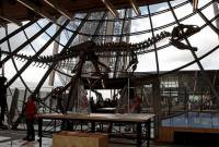 Paris : un spectaculaire dinosaure bientôt vendu aux enchères

