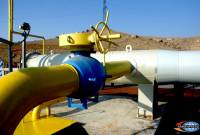Обсуждается возможность оплаты Арменией за поставку российского газа в рублях: 
Григорян

