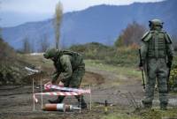Joint humanitarian demining unit to be created in CIS – Russian Defense Minister