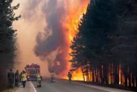Площадь пожара на Алтае достигла 2300 га

