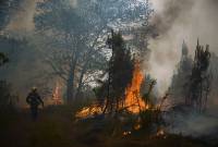 Более 1 тыс. пожарных и 11 летательных аппаратов борются с пожарами на юго-западе 
Франции
