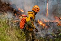 Европейские страны пришли на помощь Франции в борьбе с природными пожарами